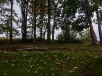 IMG_20231020_171640 (1024x768).jpg